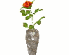 vase - rose in vase