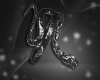 Il DRV Snake Ring Black
