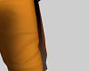 [ Gold - Papyrus Pants ]