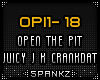 OPI - Open The Pit