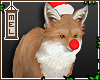 ★xmas fox❥