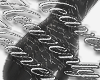 ♯ephemeral