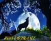 Howling Trance
