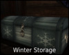 *Winter Storage