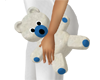 Cute white teddy w/blue