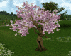 Nymph Tree Spring