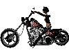 NS Skull Bike / Ride