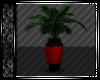 Red & Black Potted Palm