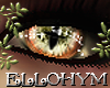 ~E- Orc Eyes M