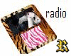 radio tigerstripe