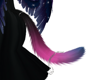 starry tail