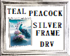Silver FrameTeal Peacock