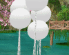 Wedding White Balloons