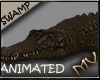 (MV) Swamp Crocodile