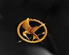 Hunger Games Pin
