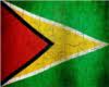 }Hii{Guyanese Flag Frame