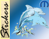 Dolphin Tatoo