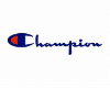 Champion hoodie /F