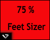Feet Sizer 75%