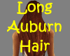 Long ! Auburn Hair