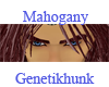 Mahogany Eyebrows