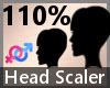 Head Scaler 110% F A