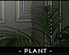 - fashion plant palm -