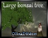 (OD) Large bonsai tree