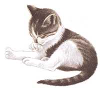 sticker_325225582_133