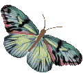 sticker_27005029_43517056