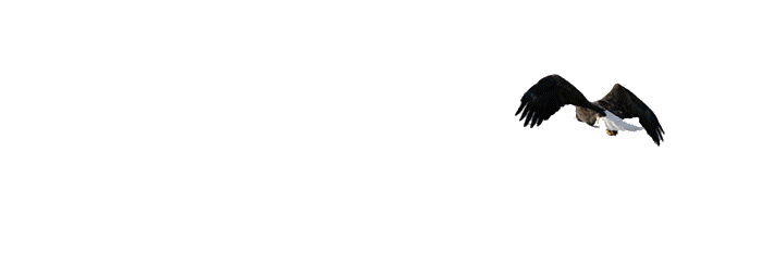 adesivo_133961362_19