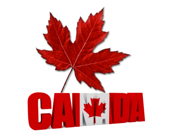 sticker_338172216_52