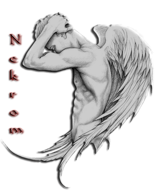 adesivo_157277927_9