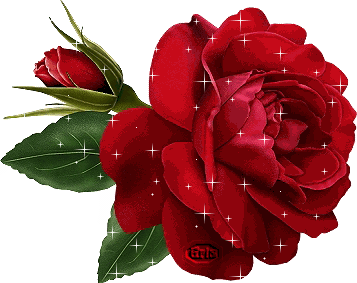 stiker_104636457_4