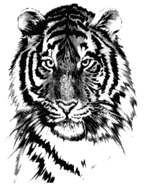 sticker_294066575_189