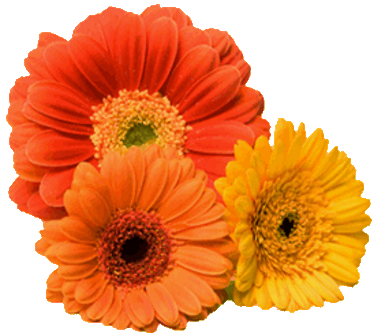 sticker_81354464_42