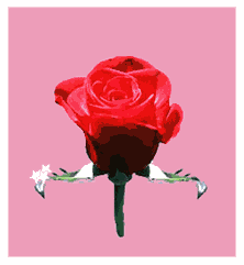 sticker_15530232_47511884