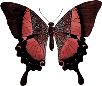 sticker_382239897_104