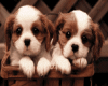 sticker_35315426_5