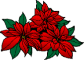 adesivo_325225582_197