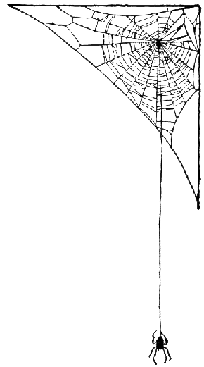 [stíc~kér_174589081_5]