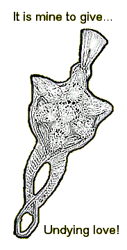 klistermärke_175118988_3