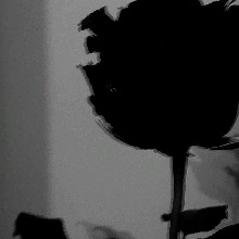 Guest_Luadasilva2