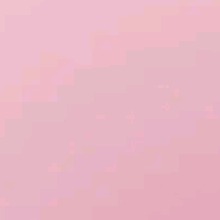 Guest_Dee167220
