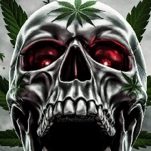 Guest_Denzel867334