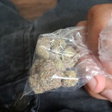 Guest_LilMj13