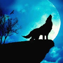 صورة الـavatar