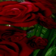 Guest_Urla3