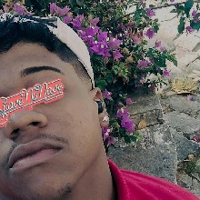 Guest_xerek