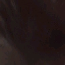 Guest_Liozz2